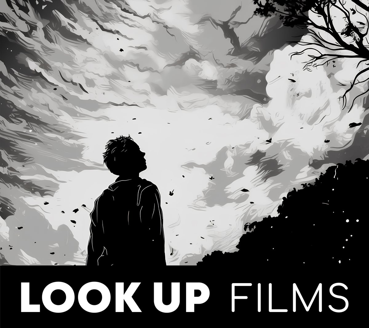 Look Up Films logo: a person in silhouette looking up at a stormy sky